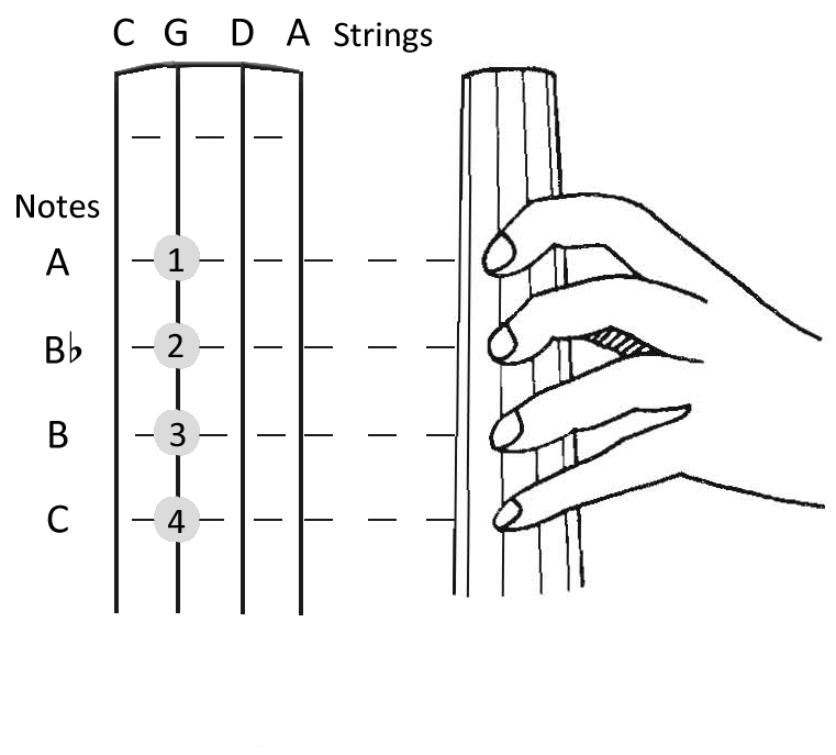Cello Strings Chart