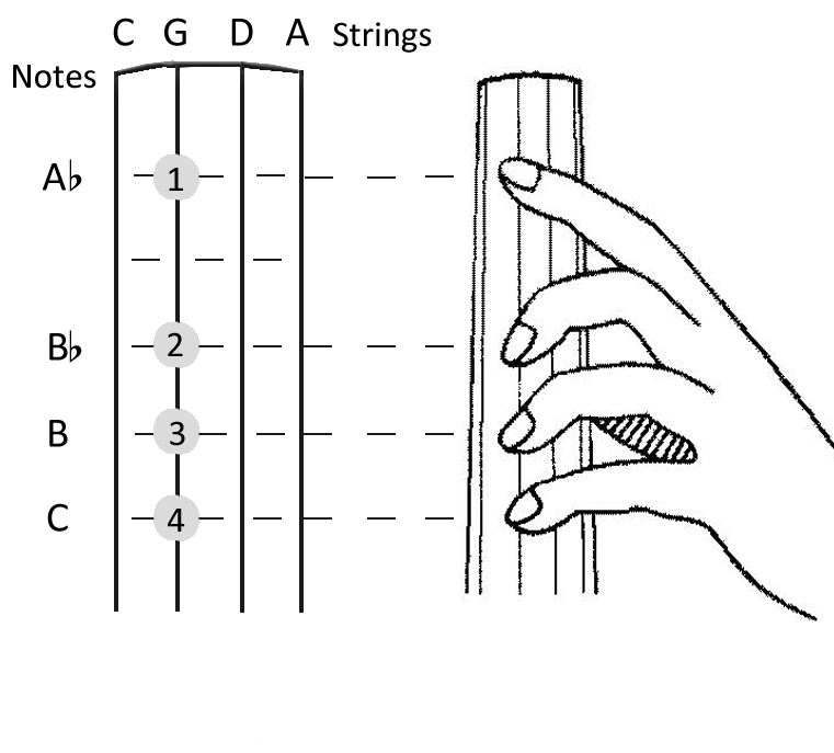 Cello Strings Chart