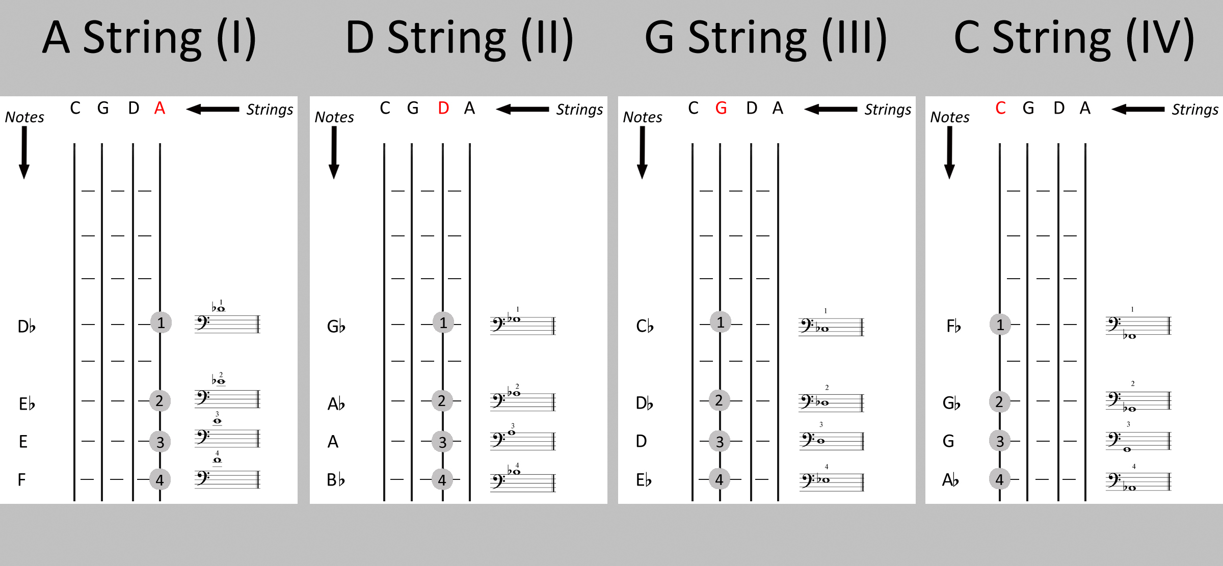 Cello Notes Chart